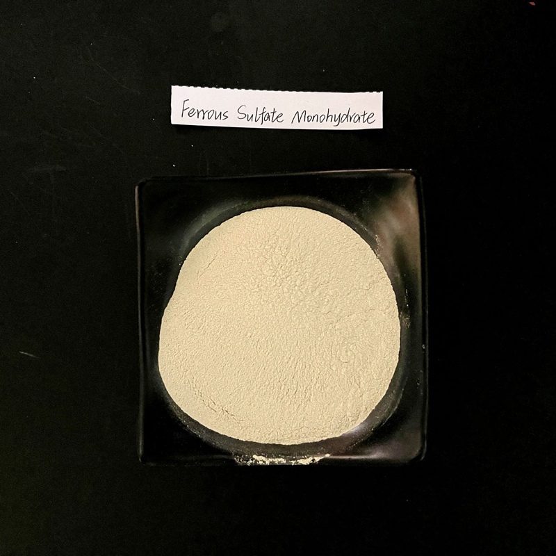 Ferrous sulfate monohydrate